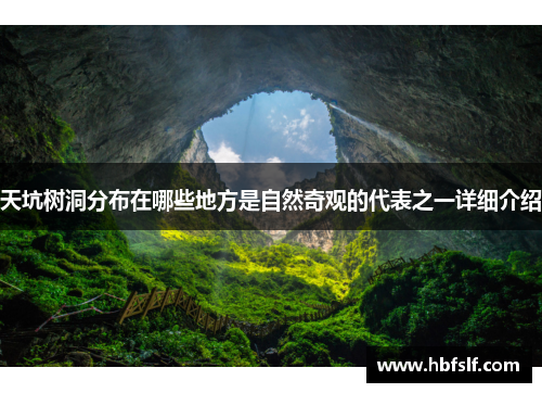 天坑树洞分布在哪些地方是自然奇观的代表之一详细介绍